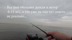 Финский залив, судак... Разведка нового места.