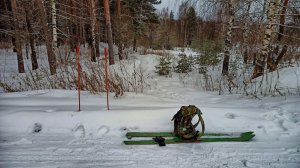 Одиночный лесной ПВД на таёжных лыжах. Изучаем лес и тропим по снегу.