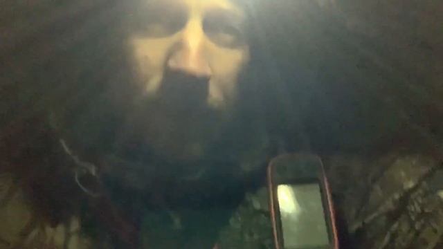 Мои лайки напали на скунса (или это он на них напал???) смотреть онлайн