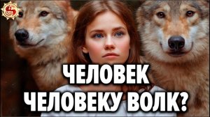 Волчьи законы, которые нам стоит перенять ! ? Тайны волчьей стаи