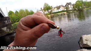 Форель. Встреча с Геннадием Кузьменко (Рыбалка в Германии)