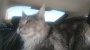 Заходи дорогой!!! Гостем будешь;)