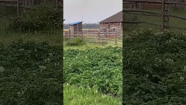Машина, гружёная сеном, загорелась от касания электропровода