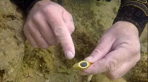 АРХЕОЛОГИ ИЗРАИЛЯ В ШОКЕ ОТ НАЙДЕННОГО!