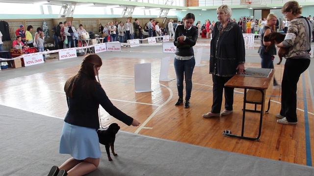 Брабансоны 19.08.2017 смотреть онлайн