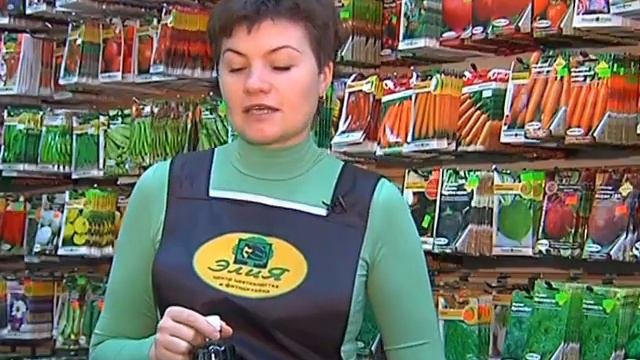 20 02 13 ЦВЕТЫ доброцвет