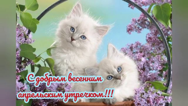 самая позитивная и красивая музыкальная открытка с добрым и чудесным утром, счастливого дня.