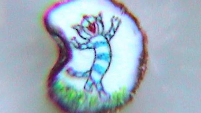 Омич представит самое маленькое издание Пушкина на выставке миниатюр смотреть онлайн