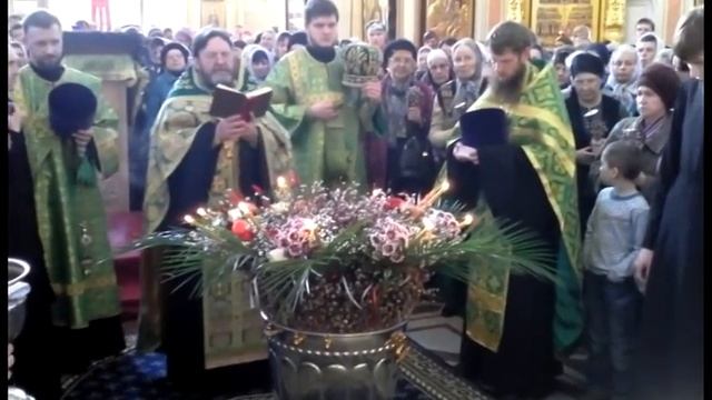 Чин освящения верб смотреть онлайн