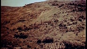 Я хочу под твое бирюзовое небо