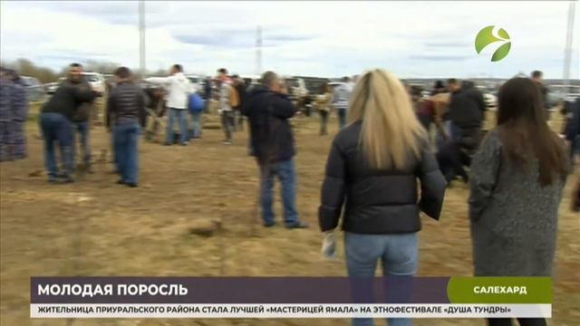 Более тысячи деревьев высадили в этом году на Ямале