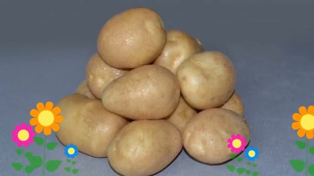 Картофель семенной Удача (Udacha). Краткий обзор, описание характеристик, где купить картофель смотреть онлайн