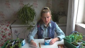 Посадка семян цветов букетным способом. Советы от Ольги Вороновой. Букетная посадка.