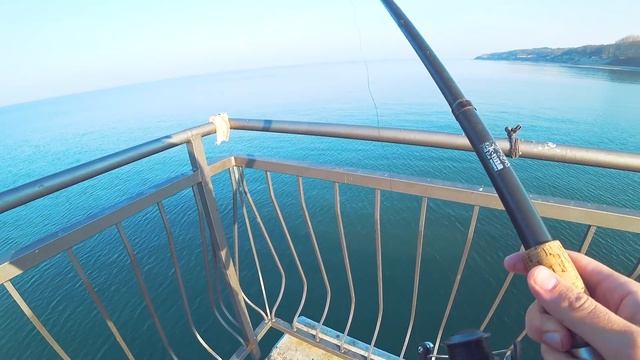 Морская рыбалка на камбалу с берега. Наживка для ловли камбалы. Балтийское море.