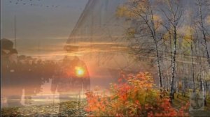 У каких ворот