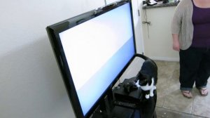 Cat Attacks XBOX 360 Logo