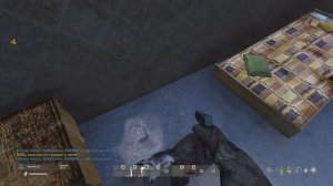 DayZavr туда сюда милионер