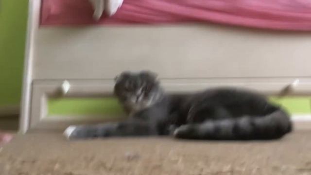 ВЫПОЛНЯЕМ АКРОБАТИЧЕСКИЕ УПРАЖНЕНИЯ С ПОДРУГОЙ// ВЛОГ// смотреть онлайн