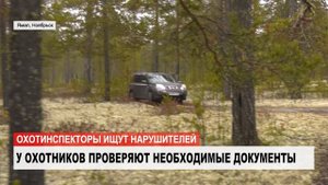 Охотинспектор ищет нарушителей