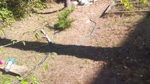 Насос работает без электричества!