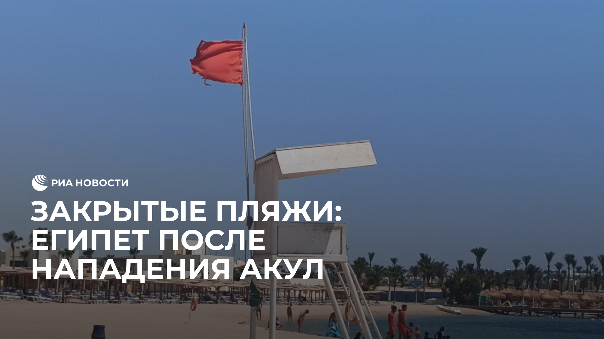 Египет после нападения акул закрыл некоторые пляжи