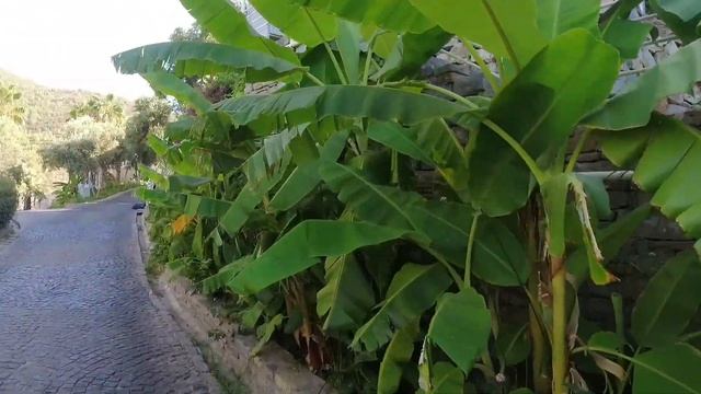 Отель DUJA Bodrum 5* Обед стандартный и Ужин с морепродуктами смотреть онлайн