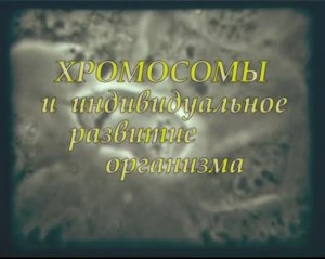 Хромосомы и индивидуальное развитие организма