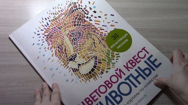 ПЛАНЫ НА ФЕВРАЛЬ 2022 В РАСКРАСКАХ АНТИСТРЕСС смотреть онлайн