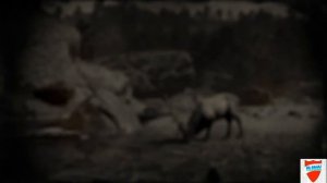 Red Dead Redemption 2  Online Карта Сокровищ    6 Изабелла Озеро