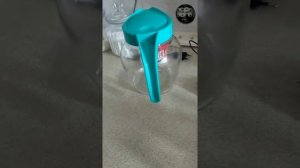 оживляем креветку