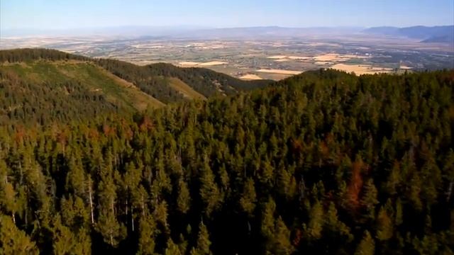 Ультра расслабляющая музыка чтобы успокоить разум, перестать думать?музыка для сна, души и тела #12 смотреть онлайн