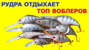 Топ воблеров под условия! Рудра не наш воблер, в наш топ не попала! Лучшие воблеры на щуку и окуня
