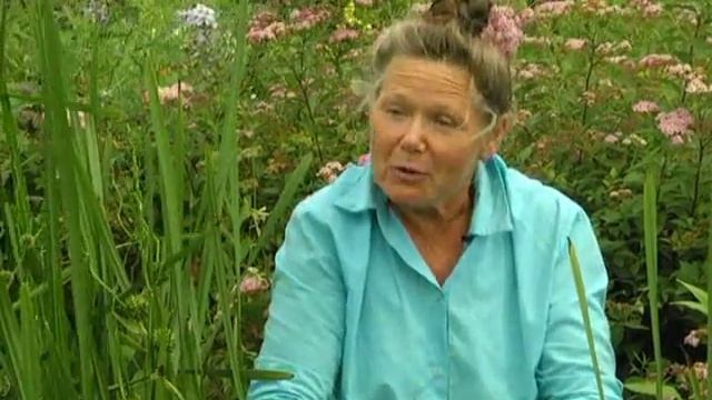 Рубрика "ЗаДачник": смотреть онлайн