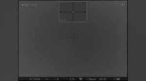 Ночная охота на волков