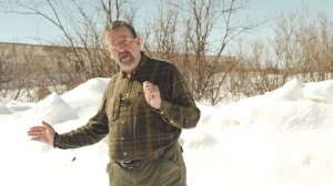 Школа безопасного туризма:правила поведения при встрече с медведем