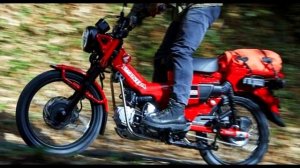 Honda CT 125 HUNTER CUB - The Ultimate Adventure Motorcycle?