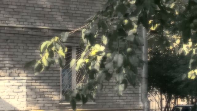 Артисты на праздник Тюмень . Живая музыка.Александр Кириллов 89044970786