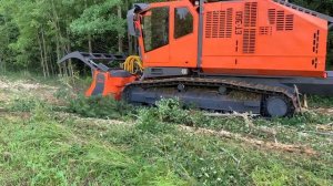 Гусеничный самоходный мульчер UM-Forest