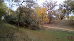 ПОЕЗДКА ЗА ГРИБАМИ, ПРИРОДА И ОТДЫХ В АСТРАХАНСКОЙ ОБЛАСТИ