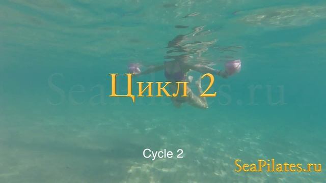 Упражнение "Волна" - Пилатес На Волне с Еленой Давыдовой смотреть онлайн