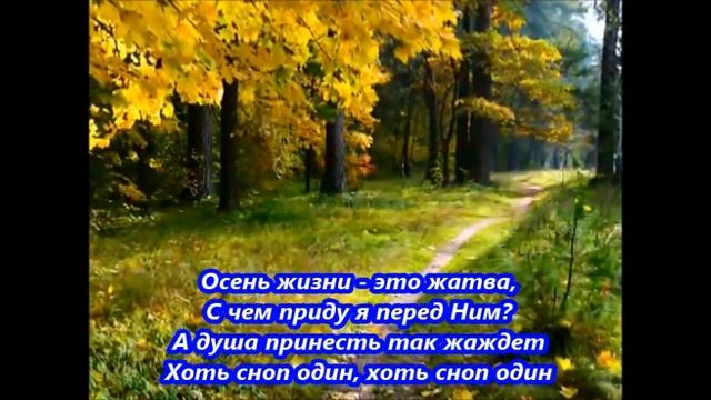 Осень жизни-это жатва