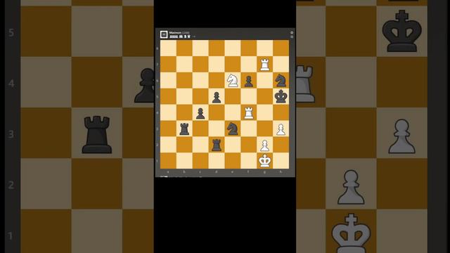 Chess puzzle No.6