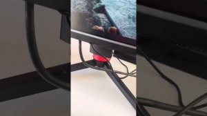 Монитор Ardor