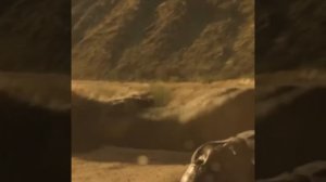 Новинки Голливуда. Интересный фильм.