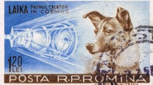 А ВЫ знали? Первый космонавт - ЧТО с ним случилось? Полет собаки Лайка на Спутнике 2