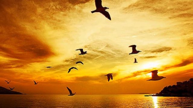 BUDDHA BAR XIII - BLANK & JONES WITH MYSTIC DIVERSION смотреть онлайн