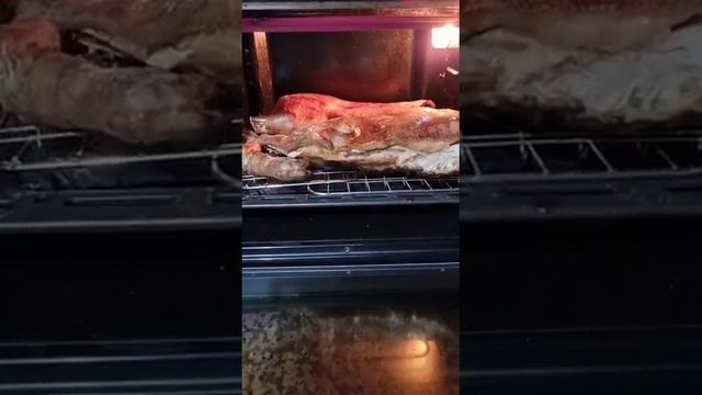 test cottura carne con forno de longhi sfornatutto maxi EO32852