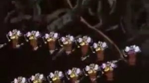 Земля, прощай! В добрый путь!