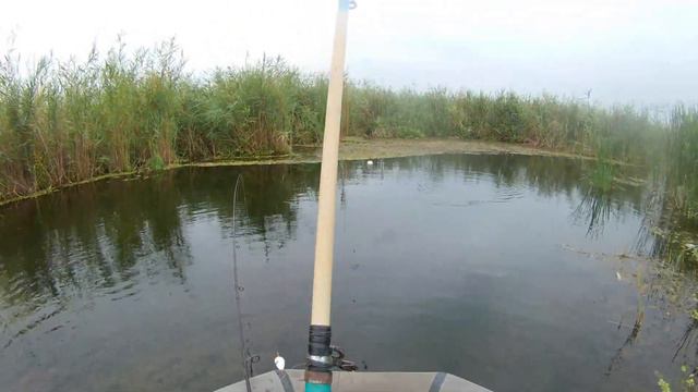 ЧЕЧНЯ!!! НА РЫБАЛКЕ С СЫНОМ ЭТО КОМЕДИЯ)))) смотреть онлайн