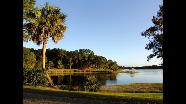 Медитация. Лечебная музыка. Исцеление звуками смотреть онлайн